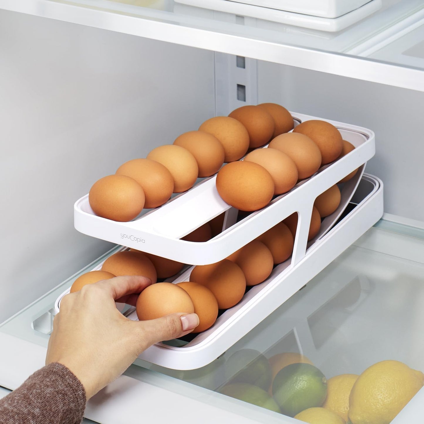 Rolldown® Egg Dispenser, Rolling Eggs Dispenser and Organizer for Refrigerator Storage, Double Track